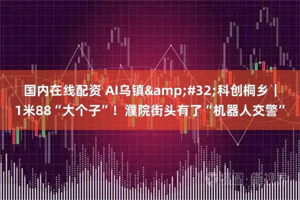 国内在线配资 AI乌镇 科创桐乡｜1米88“大个子”！濮院街头有了“机器人交警”